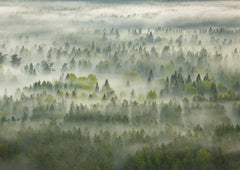 PWF-Puzzle 1000, Mārtiņš Plūme, Gauja-Nationalpark, Lettland